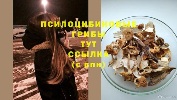 Альфа ПВП Алексеевка