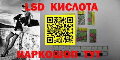 прущие грибы Малгобек