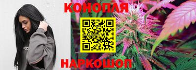 прущие грибы Малгобек