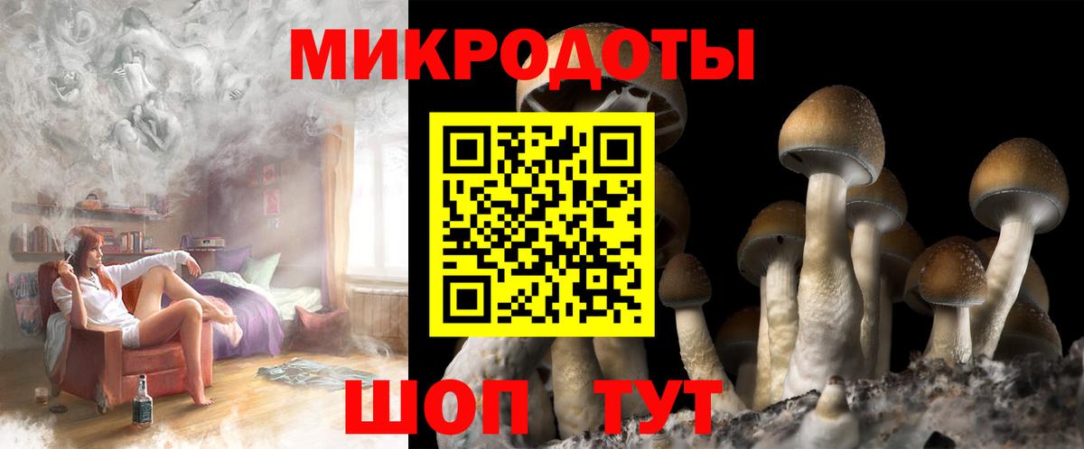 Псилоцибиновые грибы Psilocybine cubensis Новокузнецк